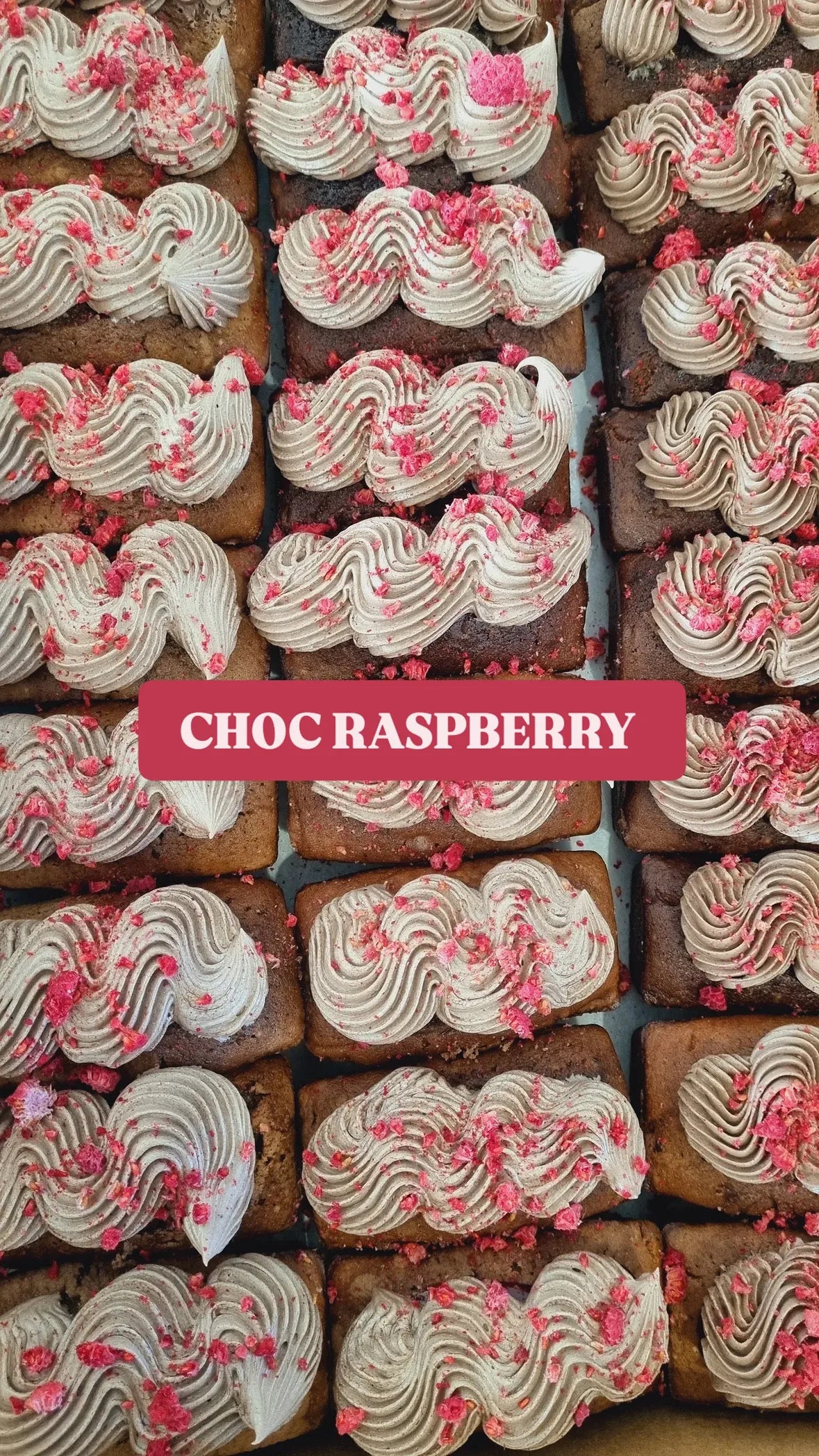Chocolate Raspberry Mini Loaf